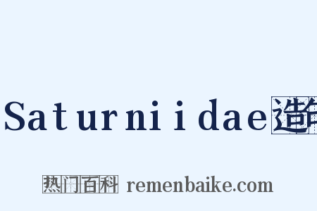 Saturniidae造句是什么意思的图片